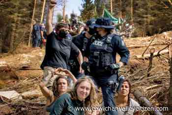 Documentary on old growth forests includes North Cowichan forest reserve - Cowichan Valley Citizen