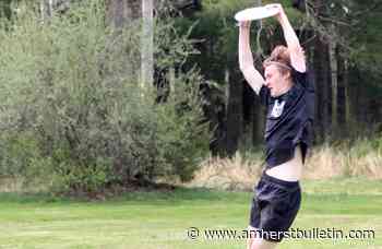 Amherst boys capture state ultimate championship - Amherst Bulletin