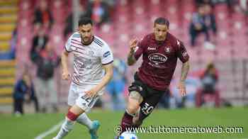 Monza, Antonelli: “Volevo Mazzocchi, ma la Salernitana…” - TUTTO mercato WEB