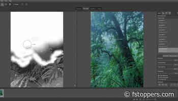How to Combine Focus Stacking and Exposure Blending for Better Photos