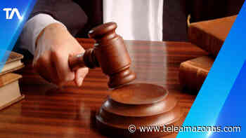 Jueces se sienten más libres para firmar sentencias a cambio de beneficios - Teleamazonas