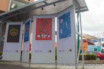 En Xalapa, inauguran exposición Carteles por la Paz - plumas libres