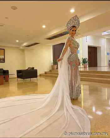 Muere Enrique Barrios, diseñador del carnaval de Veracruz - plumas libres