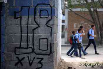 Escuelas libres de violencia: la lucha pacífica de los docentes contra las pandillas en Honduras - EL PAÍS