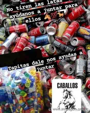 La ONG Caballos libres del Sur de Lomas de Zamora estará recolectando materiales reciclables para solventar gastos - InfoRegión
