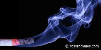 Playas y áreas naturales protegidas deber ser libres de humo de tabaco - Rosy Ramales