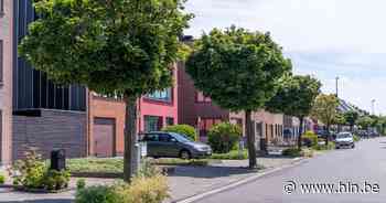 Bomen in Leugstraat laten smurrie achter op wagens - Het Laatste Nieuws