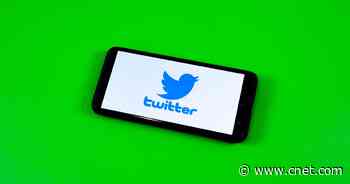 Twitter's New Method for Reporting Harmful Content Is Live     - CNET