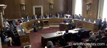 Senators ask Forest Service Chief about firefighter pay, fuels treatment, and firefighting aircraft - Wildfire Today