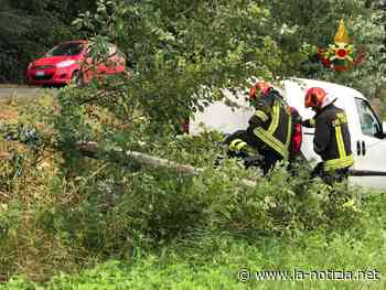 Ponzano di Fermo, scontro tra auto: divelto palo della linea telefonica - La Notizia.net