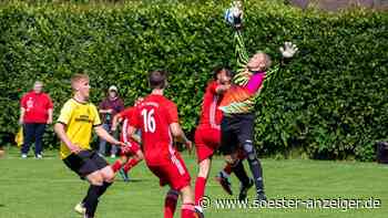 Fußball, Kreis Soest, SV Hilbeck, Markus Dollenkamp, Spieler der Woche - soester-anzeiger.de