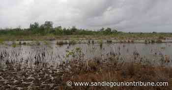 Desaparecen los colores de la laguna de Bacalar del Caribe de México - The San Diego Union-Tribune