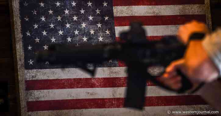 Alert: Dems Targeting Gun Ownership in Red States - Here's the Plan to Keep Guns Out of Red-Staters' Hands