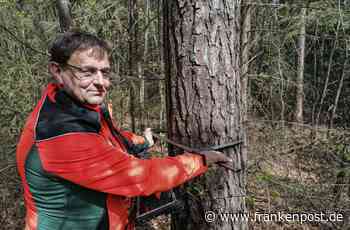 Inventur im Rehauer Forst - Wie vermisst man einen Wald? - Frankenpost