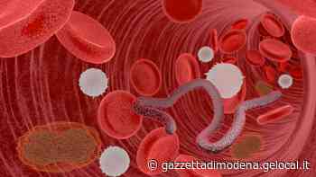 Primo caso di vaiolo delle scimmie a Modena: è un 21enne residente in provincia - La Gazzetta di Modena