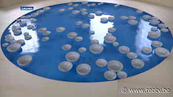 Hear Here-tentoonstelling in Leuven trekt meer dan 25 000 bezoekers - ROB-tv