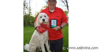 Stellarton dog honoured for dedication to community - Saltwire