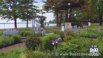 Northern Michigan From Above: Touring ACME to see Variety of Scenery - 9 & 10 News - 9&10 News