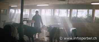 «Manipulativ»: Studie kritisiert Werbung für Tierprodukte - infosperber - Infosperber