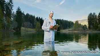 Wirz: Die gemütlichste Studie der Welt - Werbung - persoenlich.com