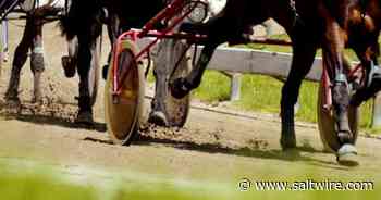 Summerside, Bible Hill to host inaugural rookie horse racing tournaments in July - Saltwire