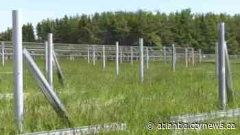 Summerside to be host of largest solar farm in Atlantic Canada - CTV News Atlantic
