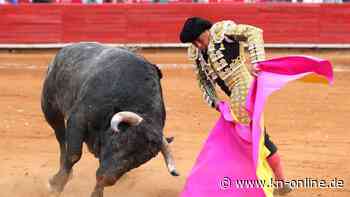 Mexikanisches Gericht verbietet Stierkämpfe in größter Arena der Welt