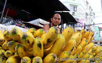 War to heat up fight for key banana markets | Jasper Y. Arcalas - BusinessMirror