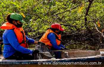 Prefeitura de Igarassu reforça mutirão de limpeza de rios, mangues e praia - Diario de Pernambuco