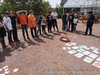 Fünftklässler taufen kleines Lamm auf den Namen Johannes Rivius • Attendorner Geschichten - Attendorn News - Attendorner Geschichten