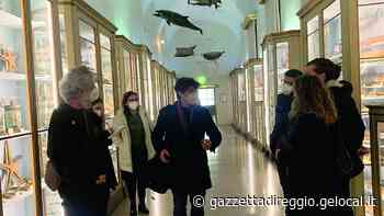 Reggio Parma Festival: ecco il Bestiario della terra - La Gazzetta di Reggio