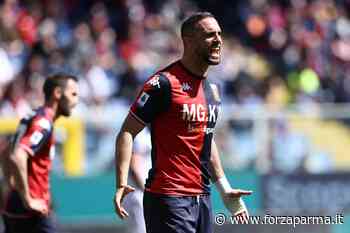 Maksimovic piace al Parma ma c'è l'ostacolo ingaggio - Forza Parma