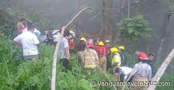 ¡Muere niño al caer a un barranco, en Misantla! - Vanguardia de Veracruz