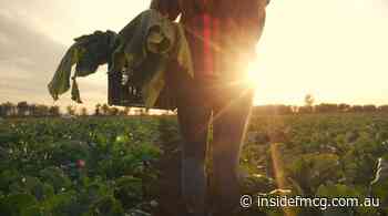 “Voters have sent a message”: What the election means for the FMCG industry - Inside FMCG