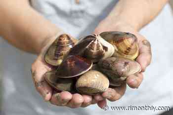 Let's Go Clamming! - Rhode Island Monthly