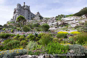St Michael's Mount landmark in Cornwall charity garden event - Falmouth Packet