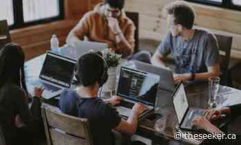 Everything That You Should Know About TeamSense - The Seeker Newsmagazine Cornwall - The Seeker