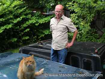 Newborn kittens abandoned in yard comes as shock for Cornwall resident - Standard Freeholder