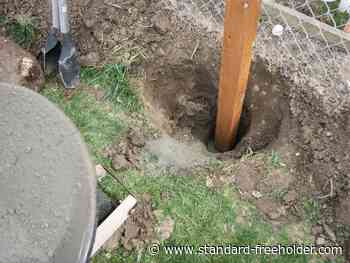 Handyman Hints: Getting the perfect fence post - Standard Freeholder