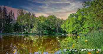 Landkreis Erlangen-Höchstadt feiert Jubiläum mit Einladung zu Exkursion um den Bürgerwald - inFranken.de