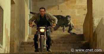 'Jurassic World: Dominion' Streaming: When to Expect It     - CNET