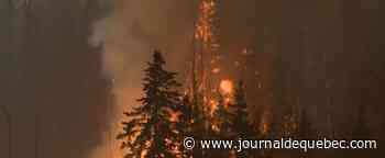 Un feu de forêt au Parc National de Kuururjuaq