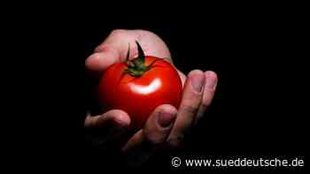 Deutsche essen mehr Tomaten als Schnitzel - Wirtschaft - Süddeutsche Zeitung - SZ.de