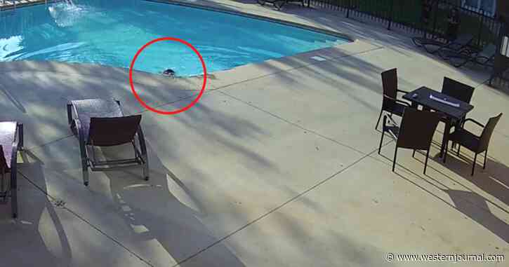 Hero Jumps Fence, Leaps Into Pool to Save Age-4 Boy with Autism from Drowning