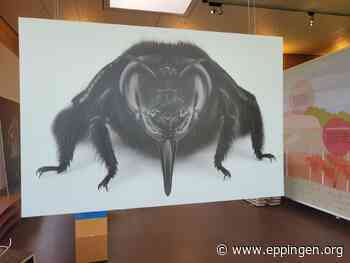 ▷ Auge in Auge. Insektenporträts - Eppingen.org