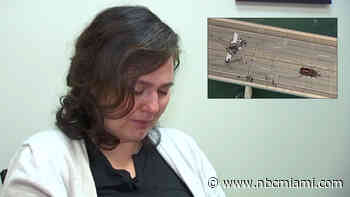 ‘I'm Scared of Everything': Survivor Recalls Plane Crash on Haulover Inlet Bridge