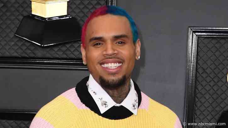 Florida Man Who Sold Monkey to Chris Brown Sentenced to Probation