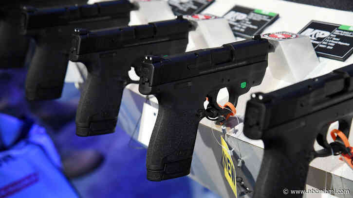 Florida Supreme Court Skeptical of Challenge to Gun Law