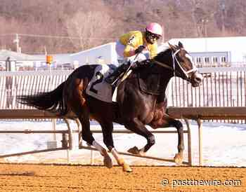 De Francis Dash on Table for G3 Winner Wondrwherecraigis - Past The Wire