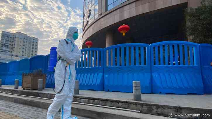 China Calls COVID ‘Lab Leak' Theory a Lie After WHO Report